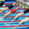 Singapore out of world swimming c’ships after 4 swimmers take a look at optimistic for Covid-19, Sport Information & Prime Tales