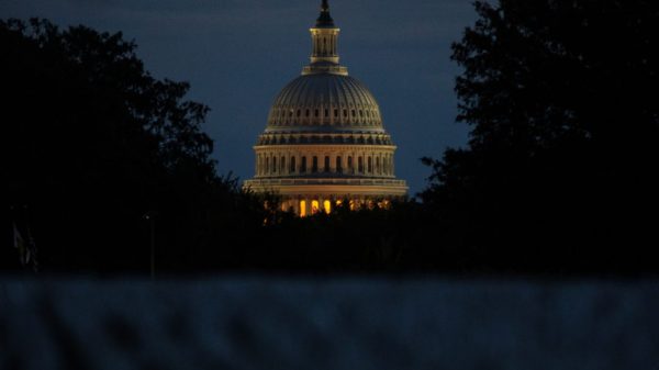 WATCH LIVE: Home Oversight subcommittee listening to on Al-Qaida, ISIS and different militant teams