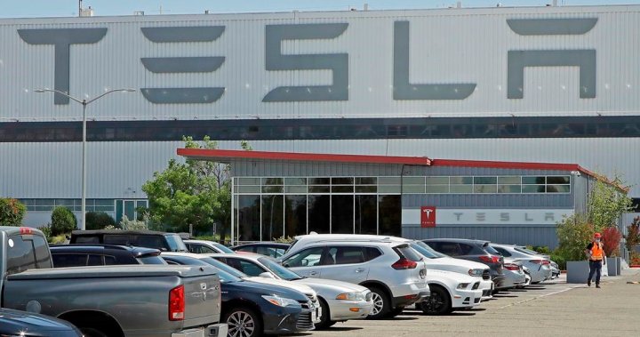 U.S. regulators open security investigation into 580K Tesla automobiles – Nationwide