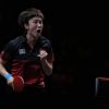 Desk tennis: Completely satisfied homecoming for Feng Tianwei as she sails into final eight of WTT Cup Finals, Sport Information & High Tales