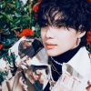 Shinee’s Taemin modifications navy service function on account of worsening psychological well being