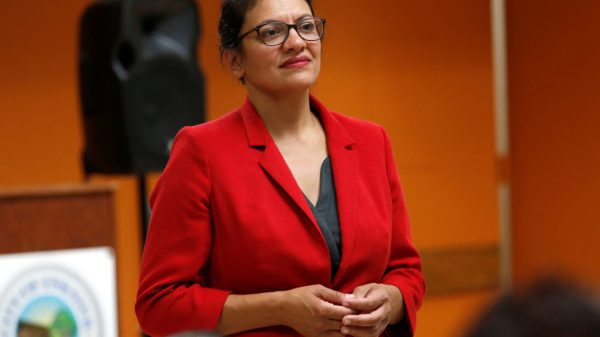 Tlaib will run for newly redistricted Detroit-area seat