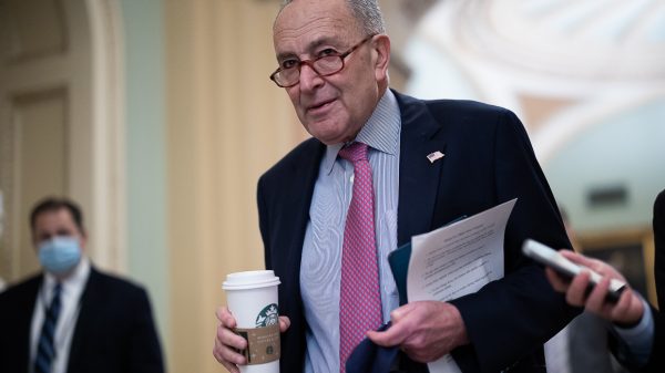 Schumer tries to jump-start Dems with guidelines change risk