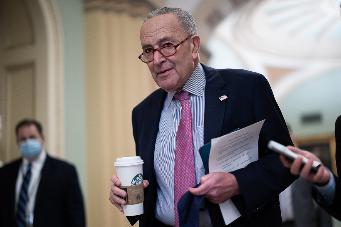 Schumer tries to jump-start Dems with guidelines change risk