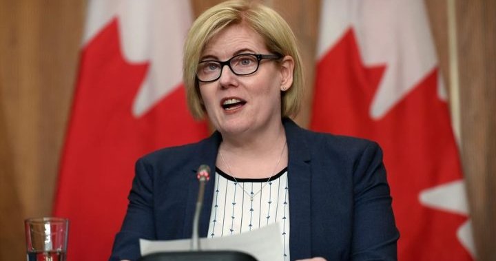 Feds aiming to ease entry for full parental depart, employment minister says – Nationwide
