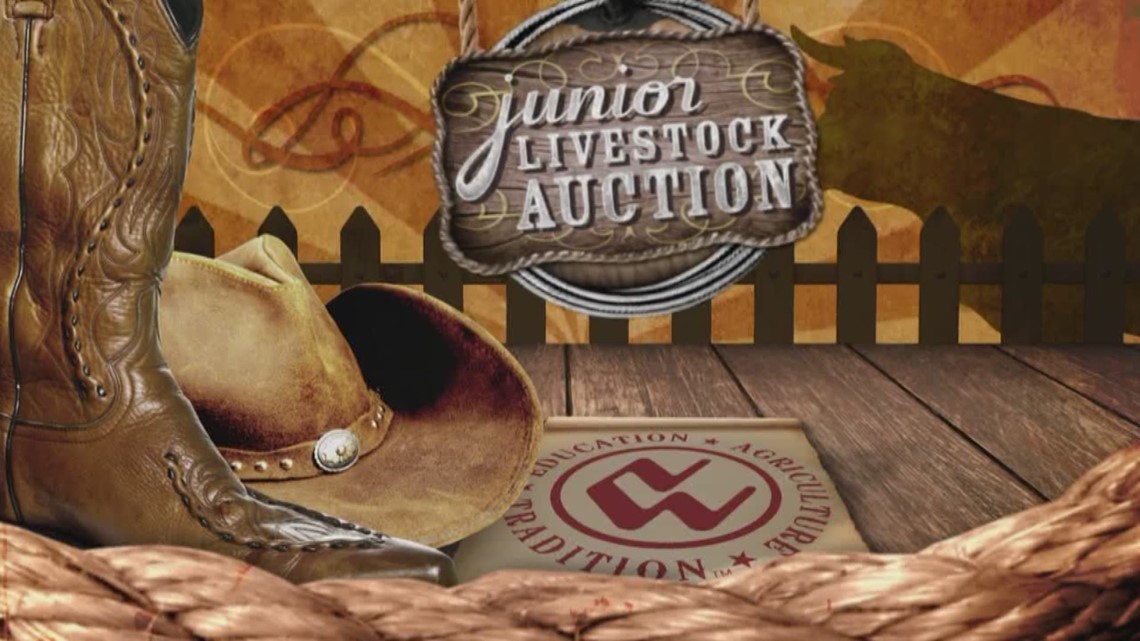 Junior Livestock Public sale at Nationwide Western Inventory Present is again