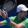 Novak Djokovic’s attraction of newest Australia visa cancellation strikes to increased courtroom – Nationwide