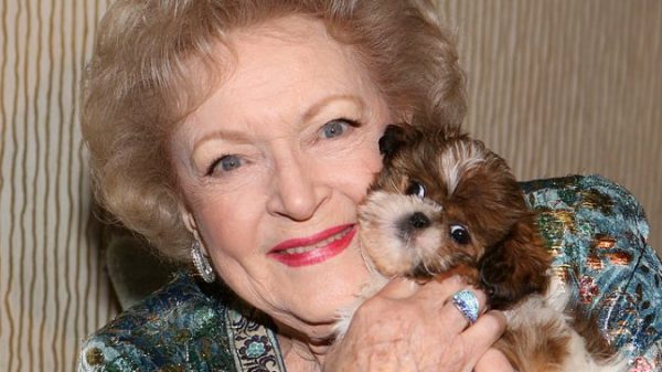 #BettyWhiteChallenge: Followers to honour TV icon with animal rescue donations – Nationwide