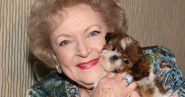 #BettyWhiteChallenge: Followers to honour TV icon with animal rescue donations – Nationwide