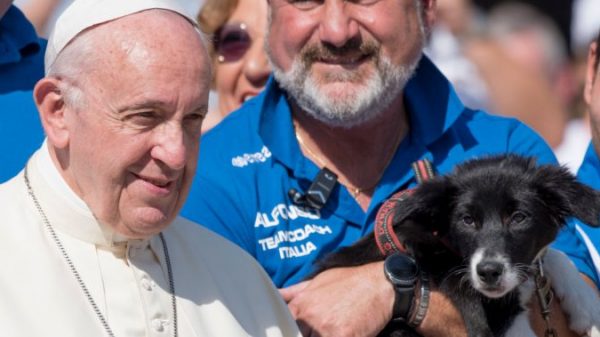 Pope beneath fireplace after calling individuals ‘egocentric’ for having pets as an alternative of youngsters – Nationwide