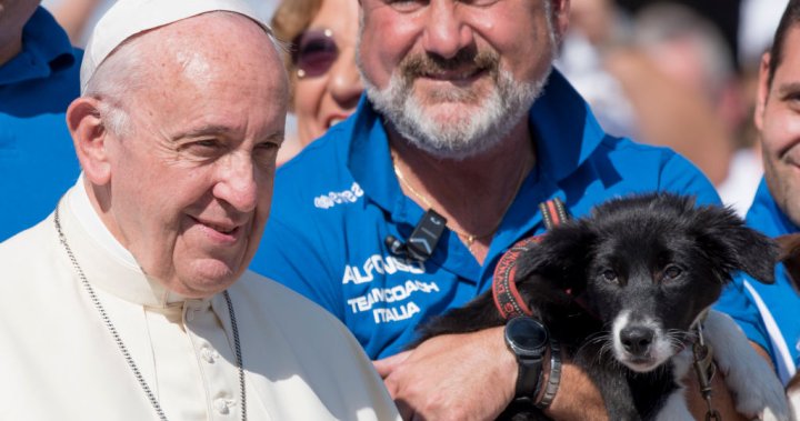 Pope beneath fireplace after calling individuals ‘egocentric’ for having pets as an alternative of youngsters – Nationwide