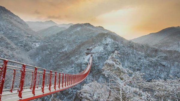 Sledding, strawberry choosing and selfies at your fave Ok-drama spots: Why you’ll wish to make South Korea your subsequent winter vacation spot