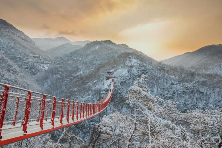 Sledding, strawberry choosing and selfies at your fave Ok-drama spots: Why you’ll wish to make South Korea your subsequent winter vacation spot