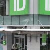 TD Financial institution hiring 2,000 tech staff this yr amid rising demand – Nationwide