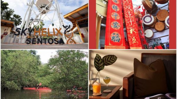 Occasions and listings: Meals offers, Chinatown workshops, mangrove kayak tour