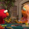 Elmo’s unhinged rant a couple of pet rock resonates with the exasperated