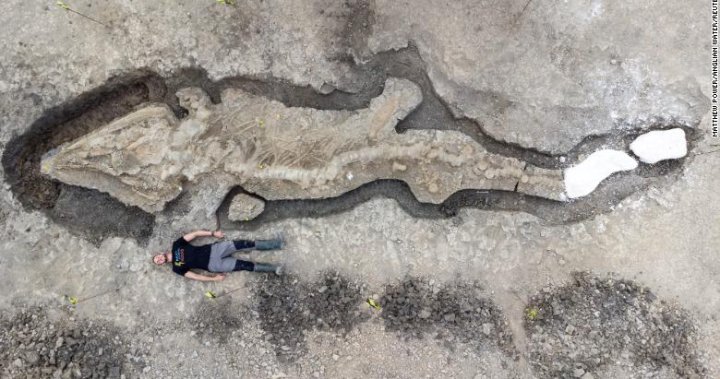 Enormous 180 million-year-old ‘sea dragon’ fossil present in U.Ok. reservoir – Nationwide