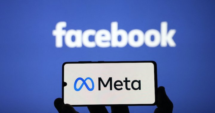 Metaverse cash: Fb mother or father pulling again curtain on digital world enterprise – Nationwide