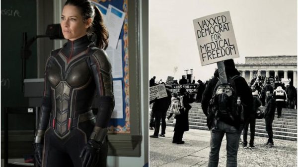 Marvel stars communicate out after Ant-Man’s Evangeline Lilly protests vaccine mandates
