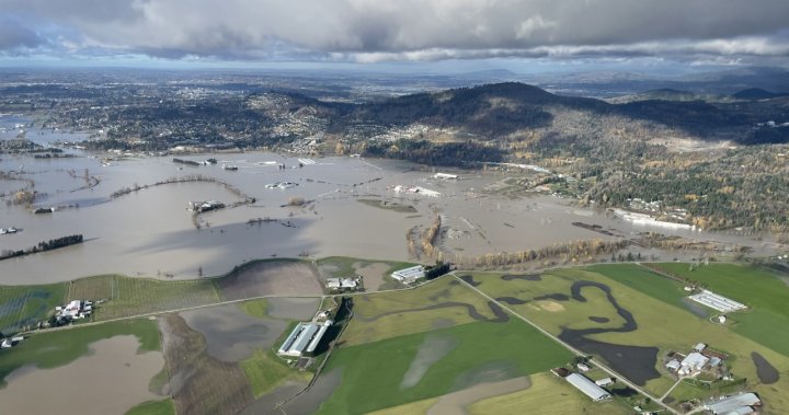 Sumas Prairie residents suggest class motion lawsuit over harm brought on by B.C. floods