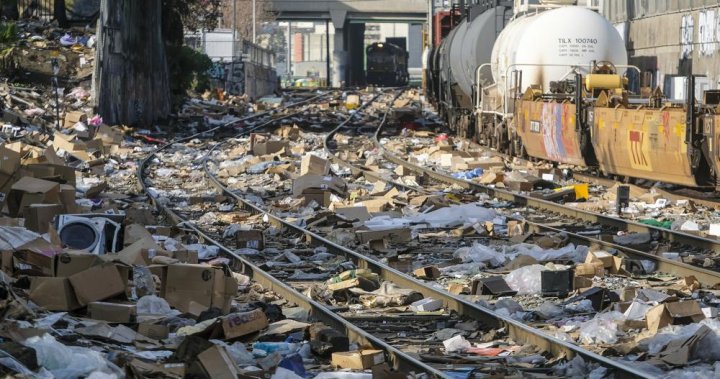 Video exhibits 1000’s of stolen packages, empty bins littering L.A. railway – Nationwide