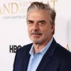 Actor Chris Noth reportedly faraway from finale of And Simply Like That…