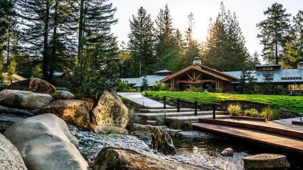 Neglect the Workplace—Salesforce Is Making a Wellness Retreat for Staff