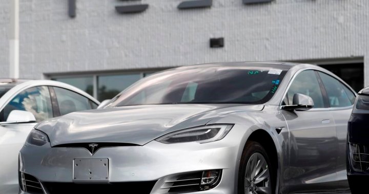 Tesla recollects over 26K U.S. automobiles over software program downside – Nationwide