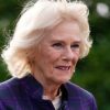 Camilla, Duchess of Cornwall, checks optimistic for COVID-19 days after Prince Charles – Nationwide