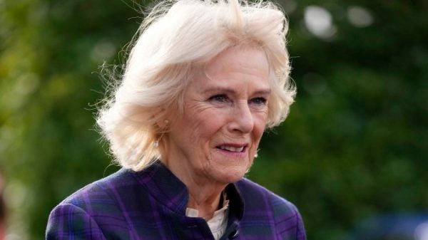 Camilla, Duchess of Cornwall, checks optimistic for COVID-19 days after Prince Charles – Nationwide