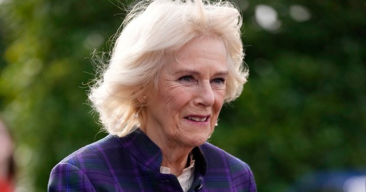 Camilla, Duchess of Cornwall, checks optimistic for COVID-19 days after Prince Charles – Nationwide