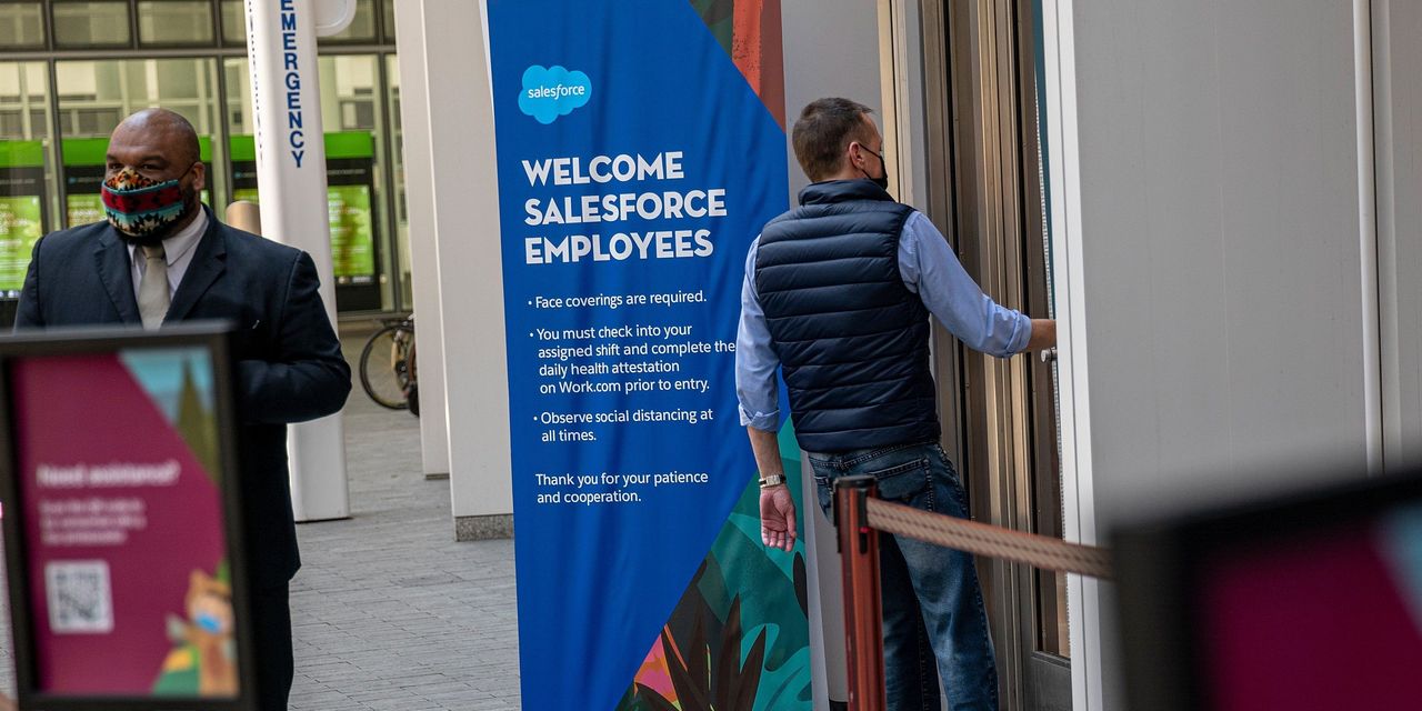 Salesforce Gross sales Rise as Demand for Cloud Providers Continues