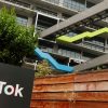 TikTok Faces Scrutiny in State Attorneys Basic Probe of On-line Harms to Youngsters