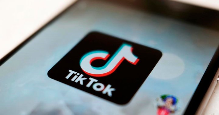 TikTok to droop new content material creation in Russia, Netflix stops service – Nationwide