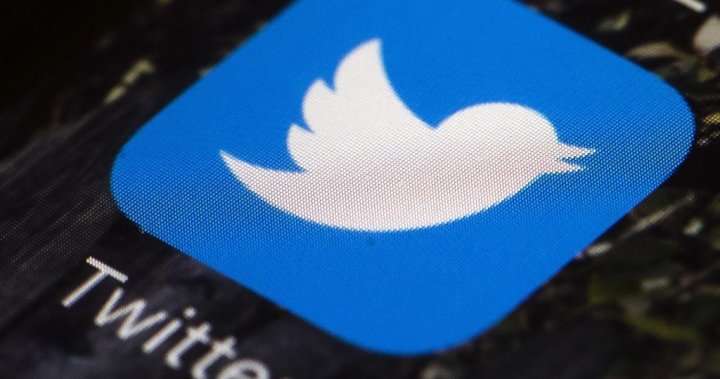 Twitter launches new model of website that may bypass Russia restrictions – Nationwide