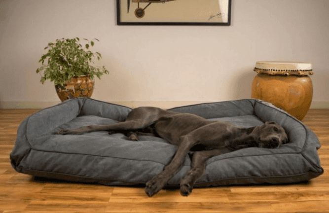 Does it Hurt Dogs to Sleep on the Floor?