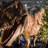 ‘Jurassic World: The Exhibition’ brings the dinosaurs to Denver