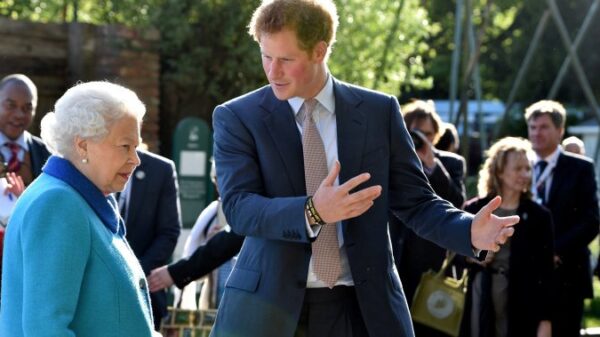 Prince Harry stated he visited the Queen to verify she’s ‘protected’ – Nationwide