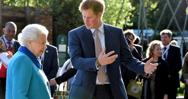 Prince Harry stated he visited the Queen to verify she’s ‘protected’ – Nationwide
