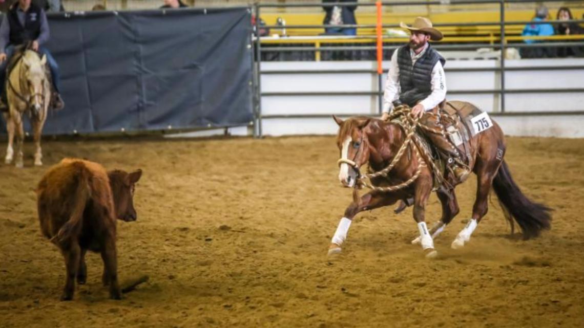 Nationwide Western Inventory Present to debut elite horse sale in 2023