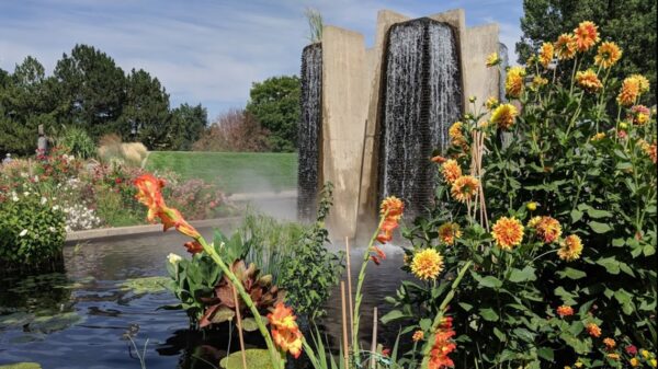 Denver Botanic Gardens 2022 summer time live performance collection lineup