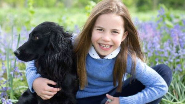 Princess Charlotte’s seventh birthday pictures present simply how briskly children develop up – Nationwide
