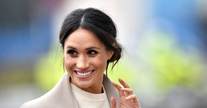 Meghan Markle’s animated sequence ‘Pearl’ dropped by Netflix amid falling share worth – Nationwide