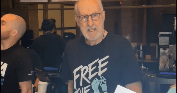 ‘Succession’ star James Cromwell superglues hand to Starbucks counter in protest – Nationwide