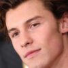 Shawn Mendes cancels the rest of world tour: ‘I used to be not all prepared’