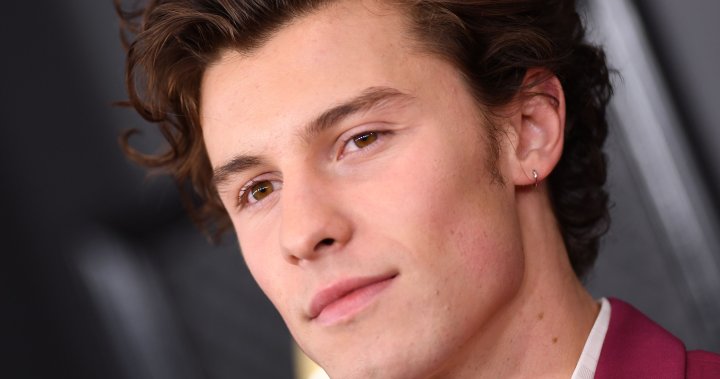 Shawn Mendes cancels the rest of world tour: ‘I used to be not all prepared’