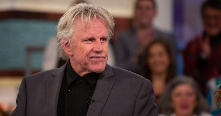 Gary Busey faces intercourse offence fees after horror conference look – Nationwide