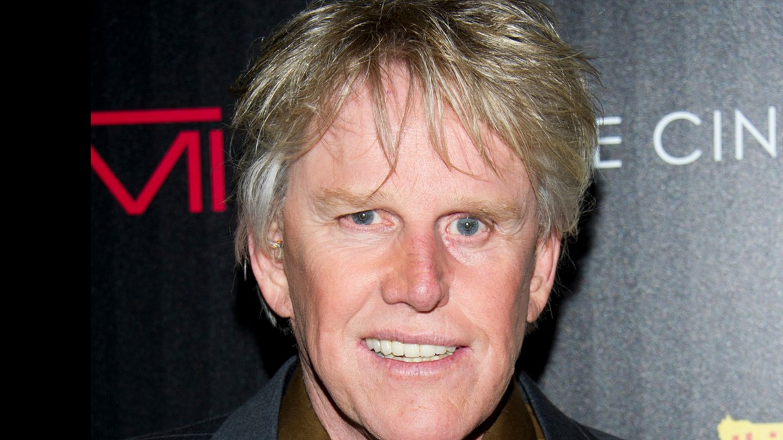 Gary Busey charged with intercourse offenses at Monster-Mania