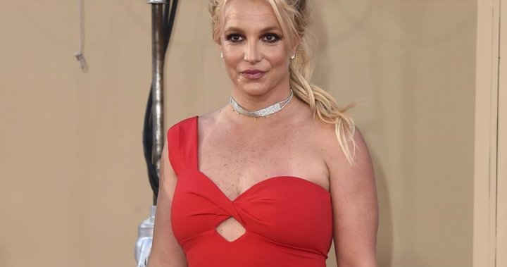 Britney Spears says she’ll in all probability ‘by no means carry out once more’ attributable to ‘trauma’ – Nationwide